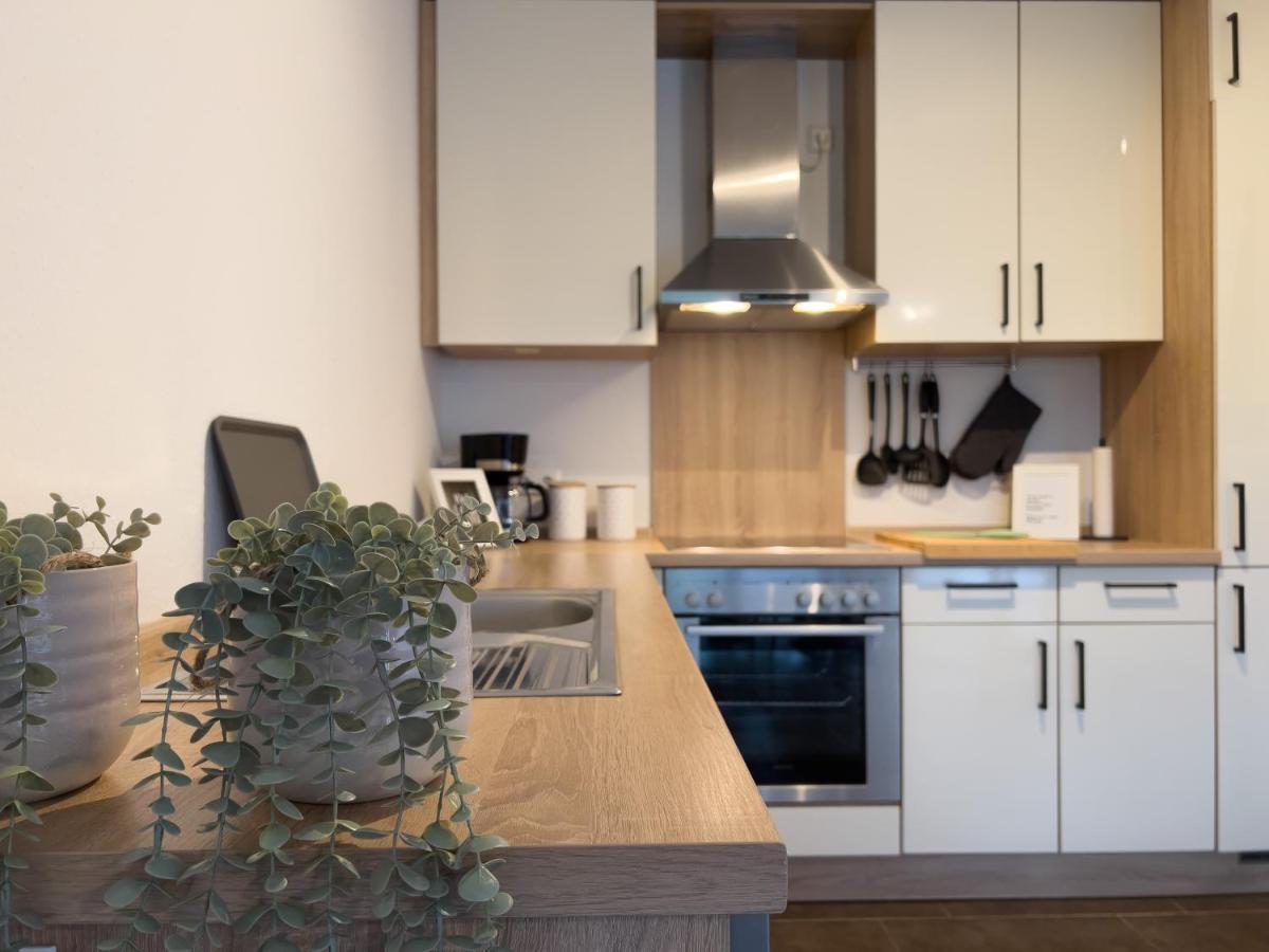 Zentral. Stylisch. Toni House Mit Viel Platz! Villa Lingen Exteriör bild